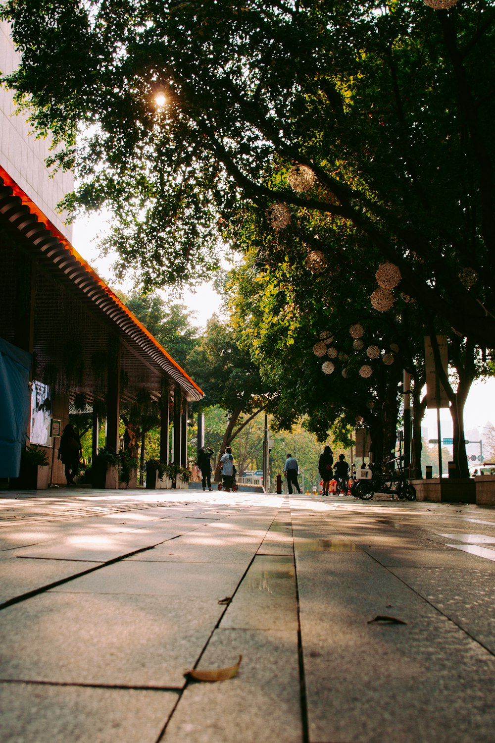 people walking on sidewalk near trees and building during daytime