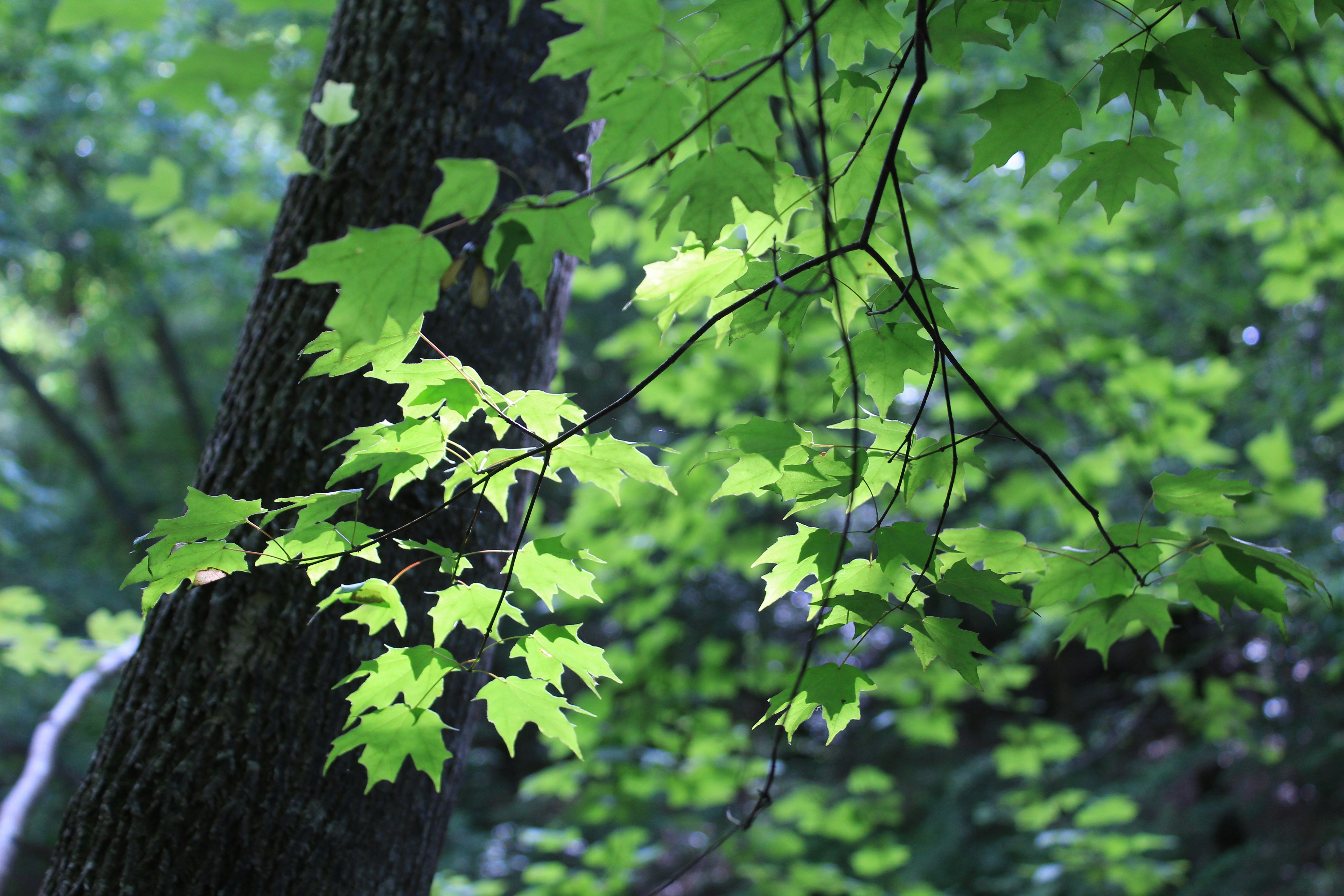 Photo by aebooksandwords