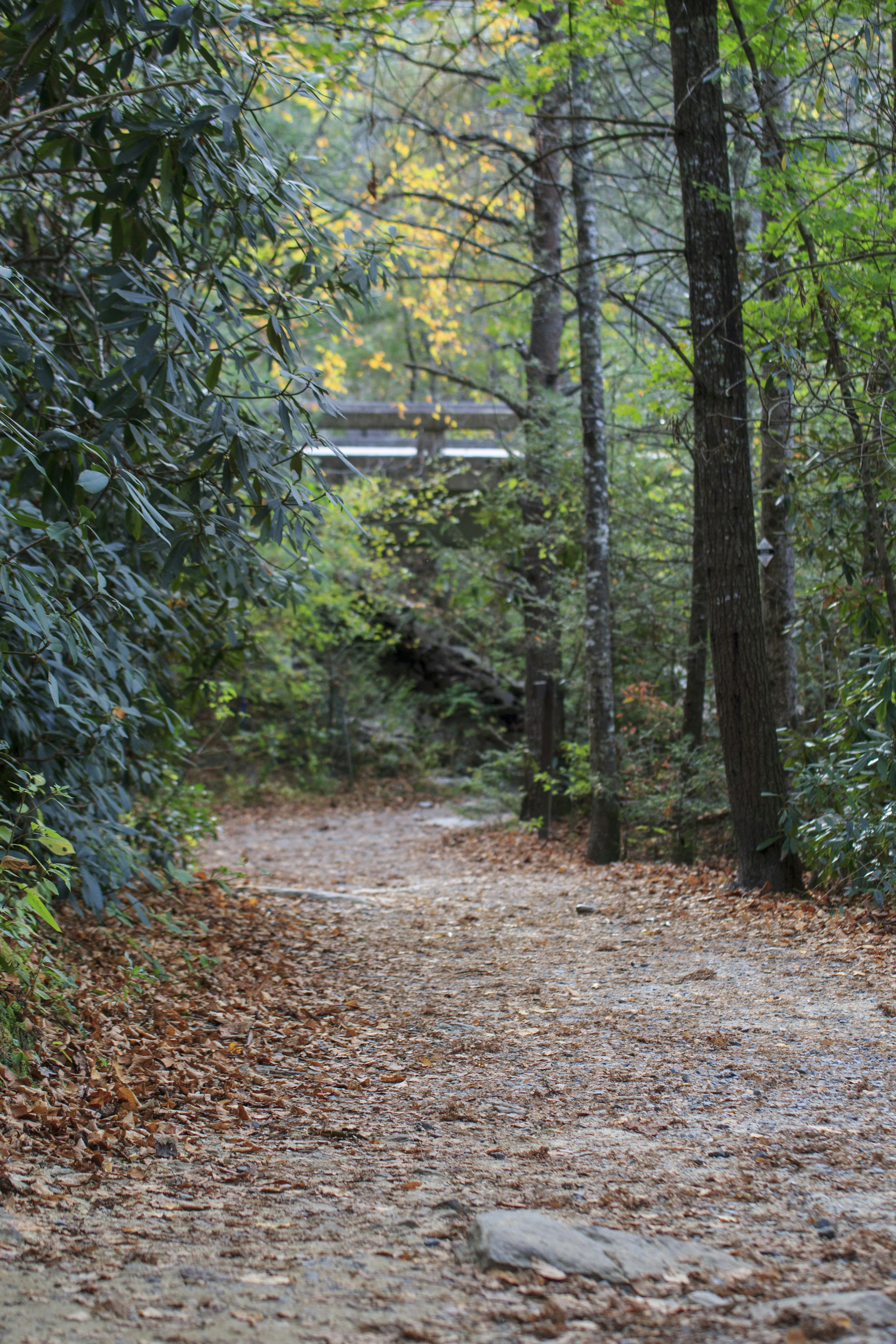 Photo by aebooksandwords