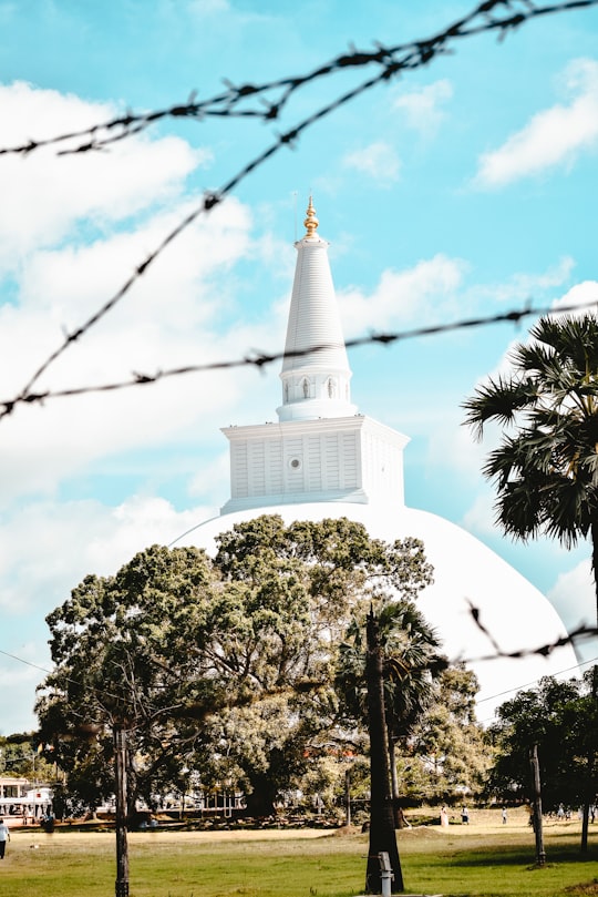 green trees under blue sky during daytime in Anuradhapura Sri Lanka