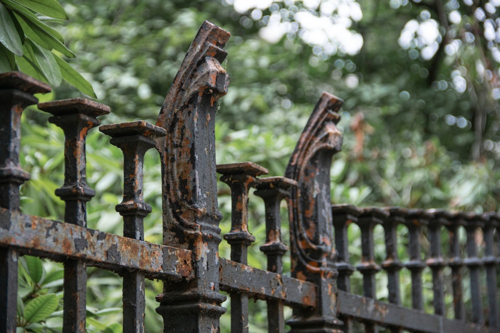 brown wooden fence near green trees during daytime