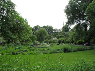 A peaceful corner of the church garden with blooming plants and a bench for quiet reflection.
