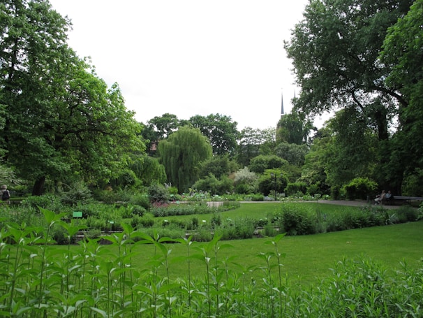 A peaceful corner of the church garden with blooming plants and a bench for quiet reflection.