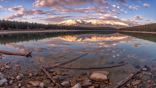 lake near green trees under white clouds during daytime in Patricia Lake Canada