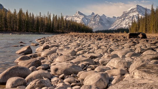 rocky river near trees and snow covered mountain during daytime in Athabasca Falls Canada