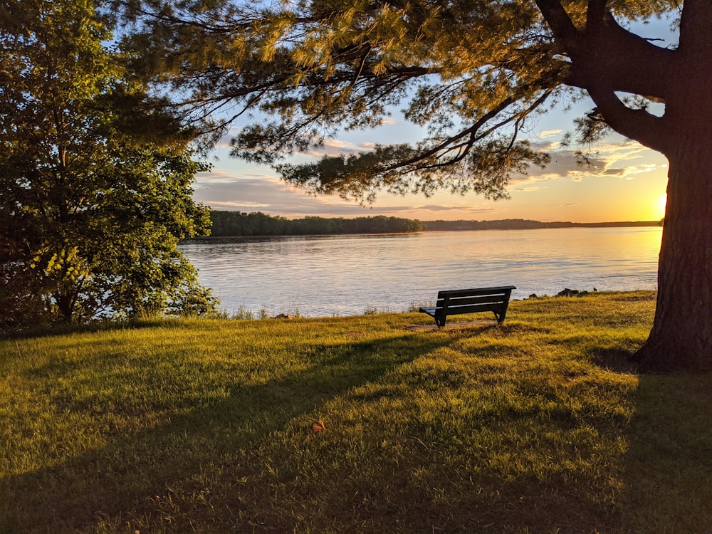 brown wooden bench near body of water during daytime