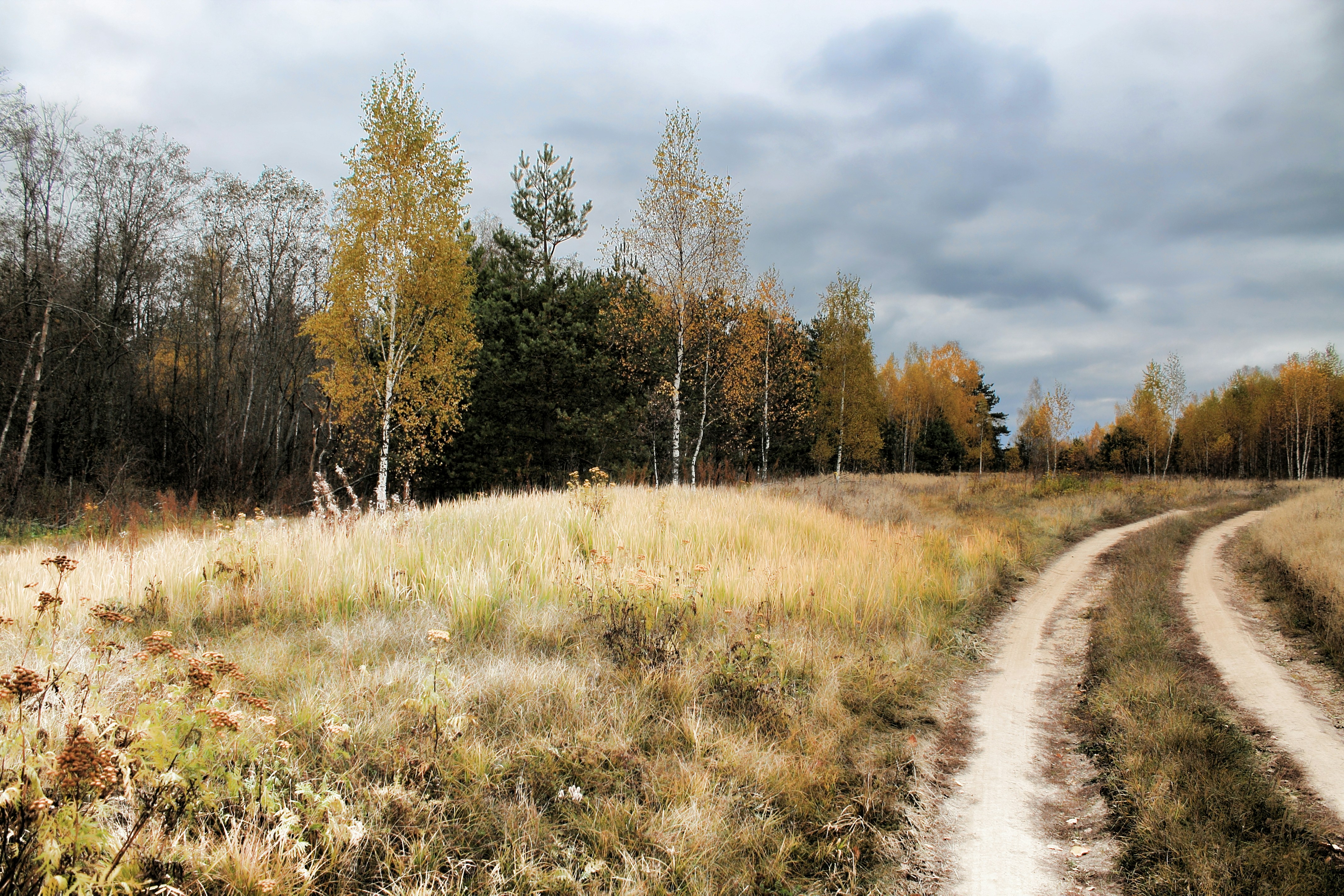 Photo by alex_ivashutino