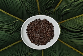 A white bowl filled with roasted coffee beans is placed on a background of vibrant green palm leaves, arranged symmetrically.