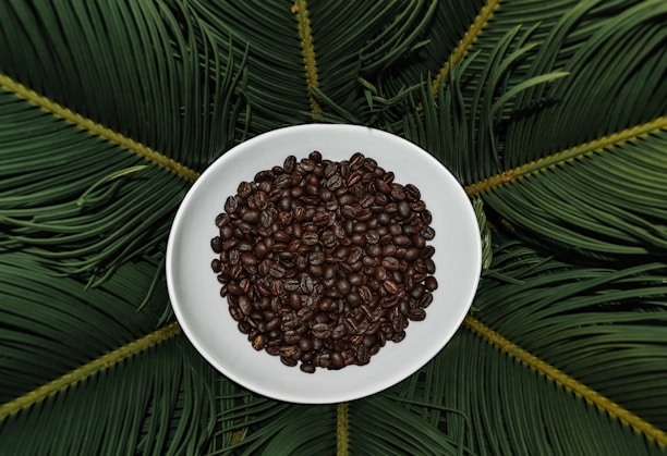 A white bowl filled with roasted coffee beans is placed on a background of vibrant green palm leaves, arranged symmetrically.