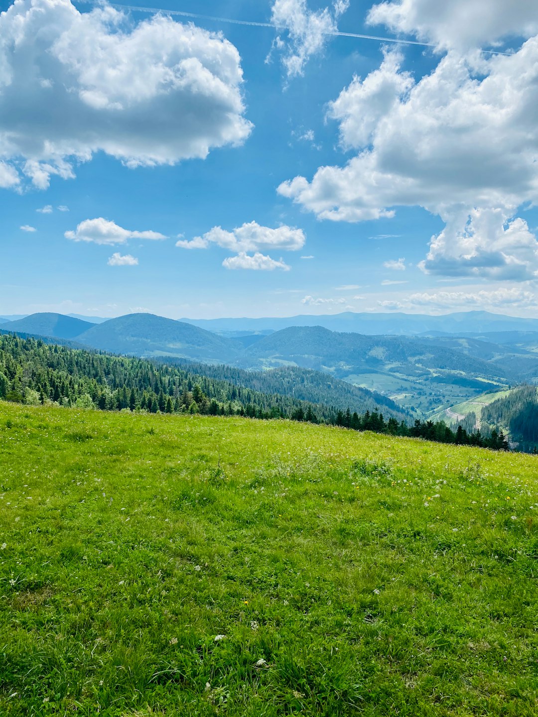 green grass field near green trees and mountains under blue sky and white clouds during daytime