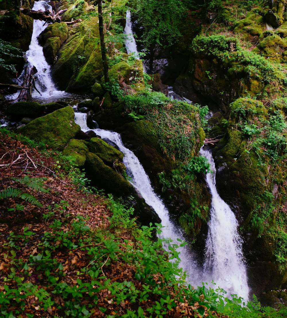 green moss on rocky mountain