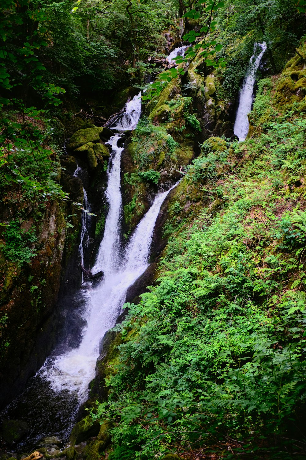 water falls in the middle of green moss covered rocks