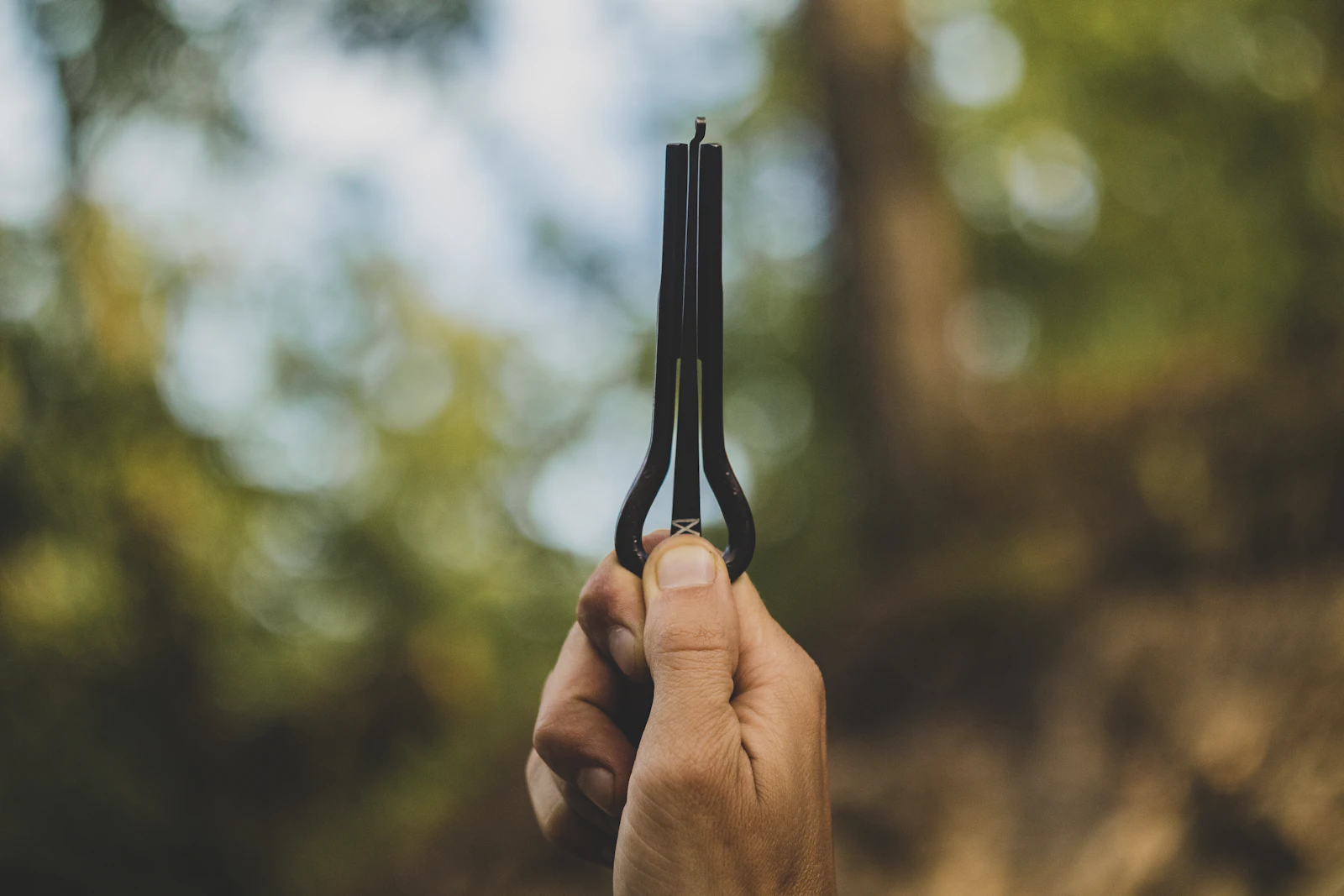 Tuning forks / sound healing