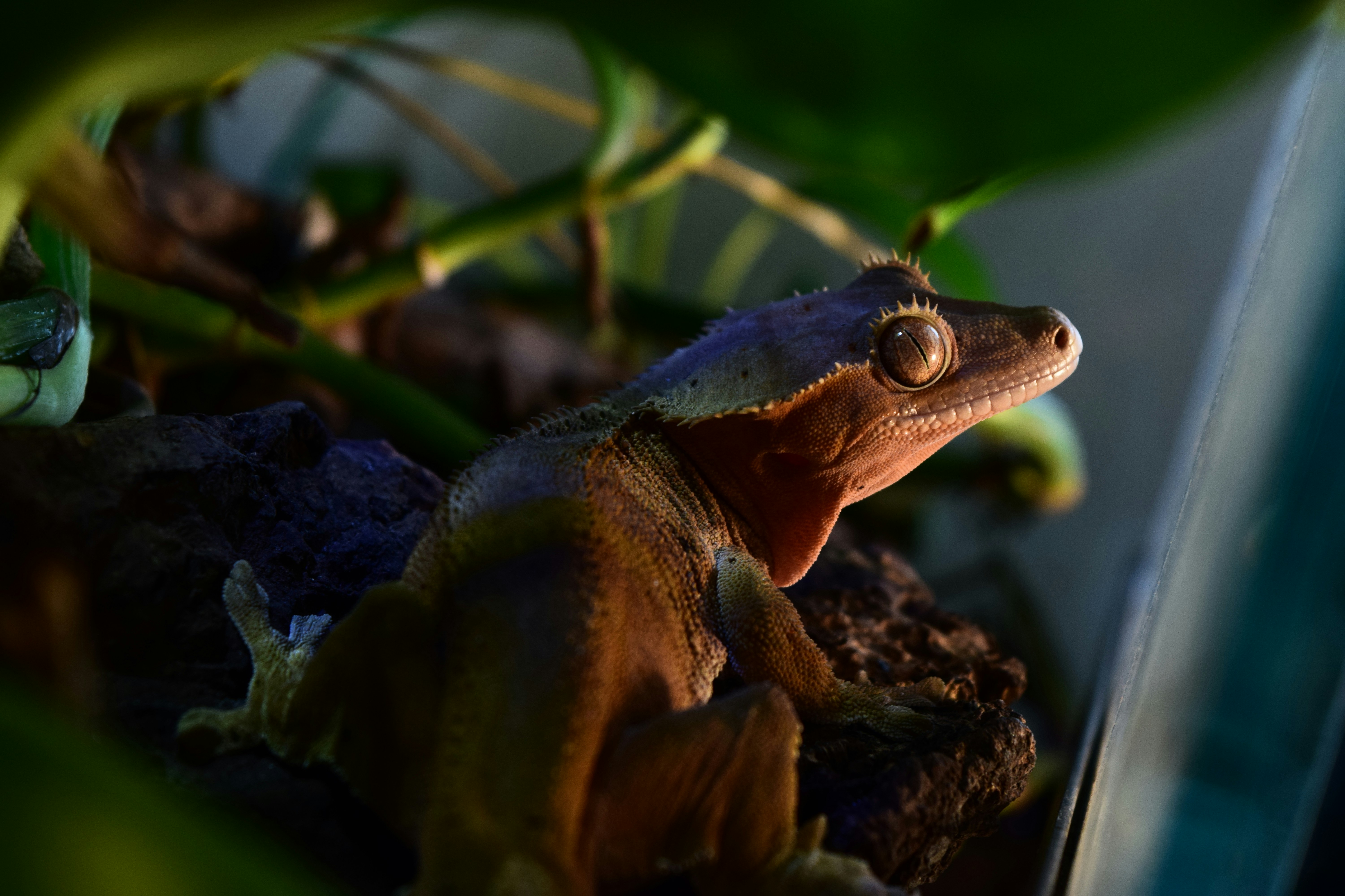 Photo by damaris_hidalgo