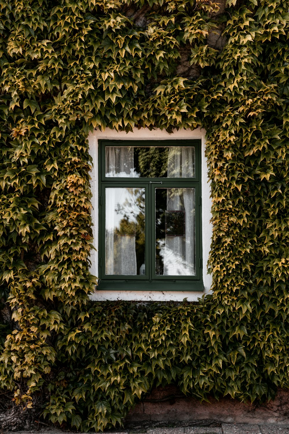 白い木枠のガラス窓