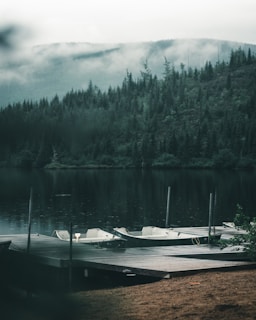 A peaceful morning scene with mist rising over the lake and fishing boats ready.