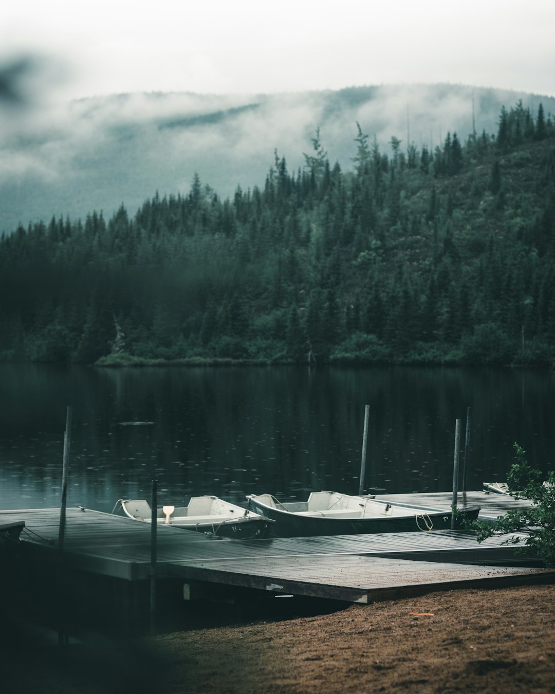 white and brown boat on dock near green trees during daytime