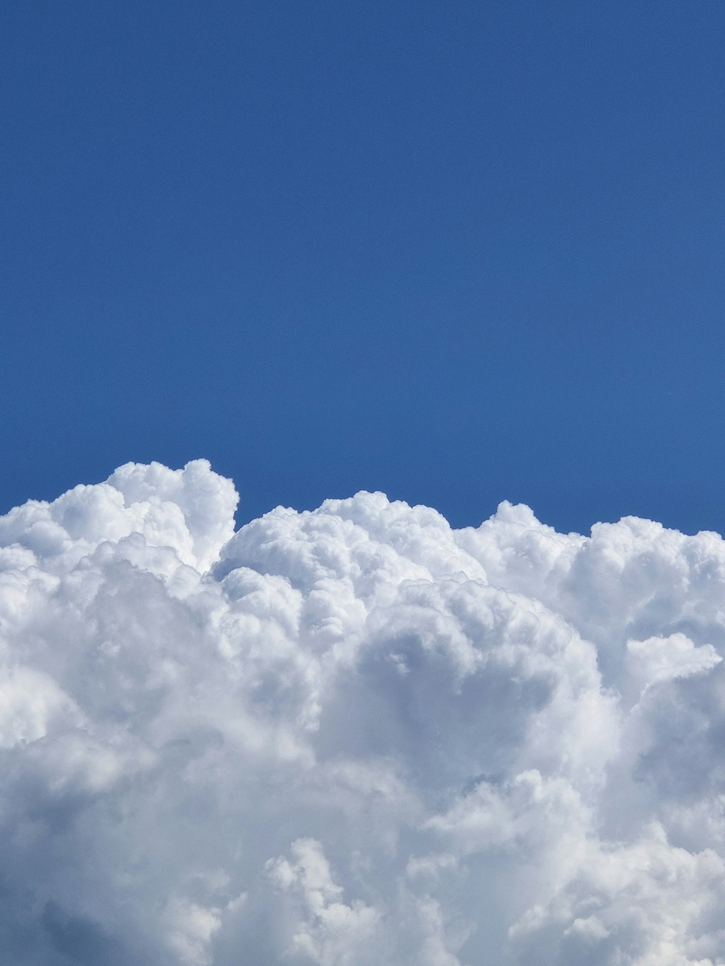 Photo by arroganthamsterlord