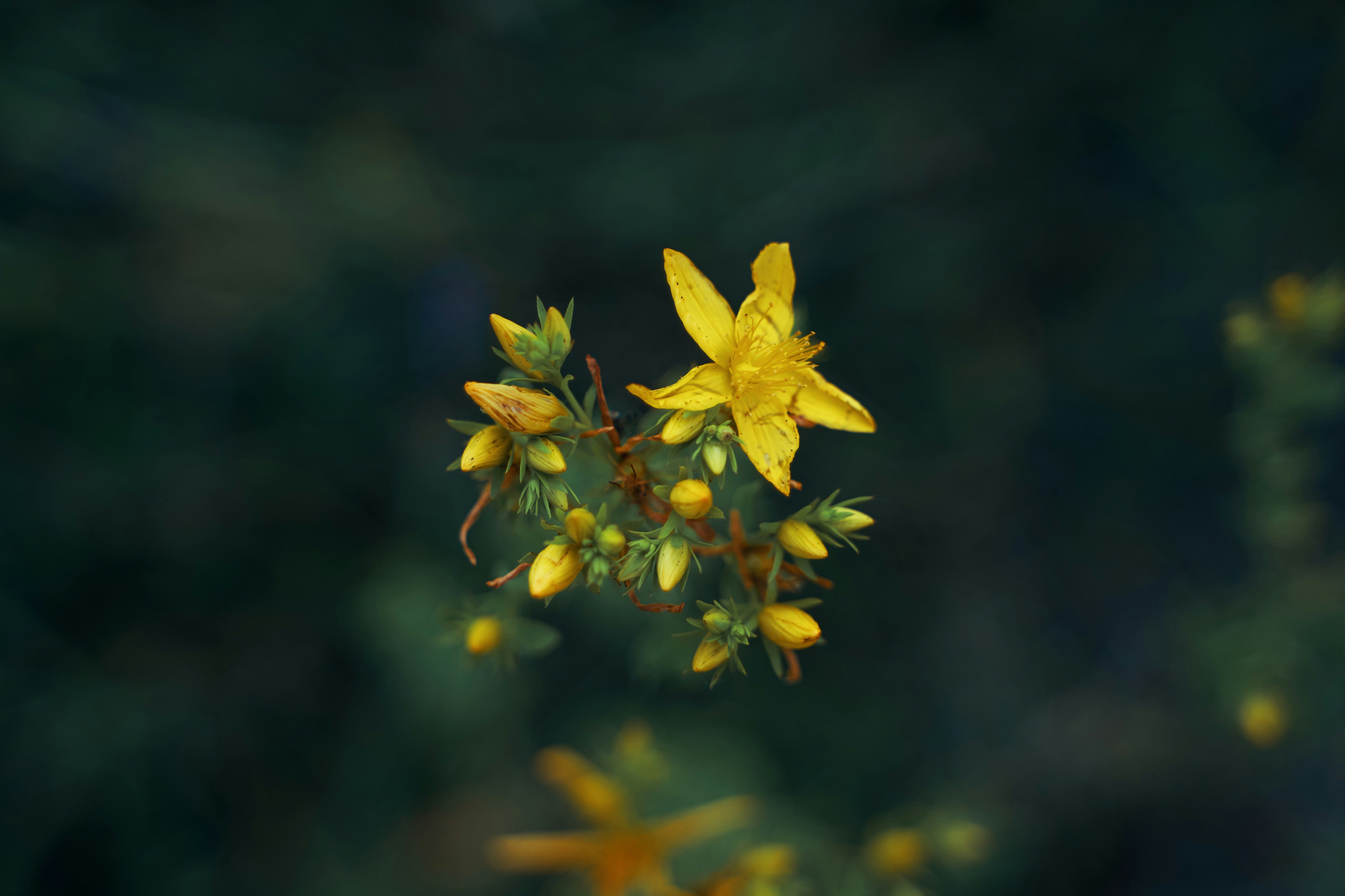 Photo by jhvisuals_de