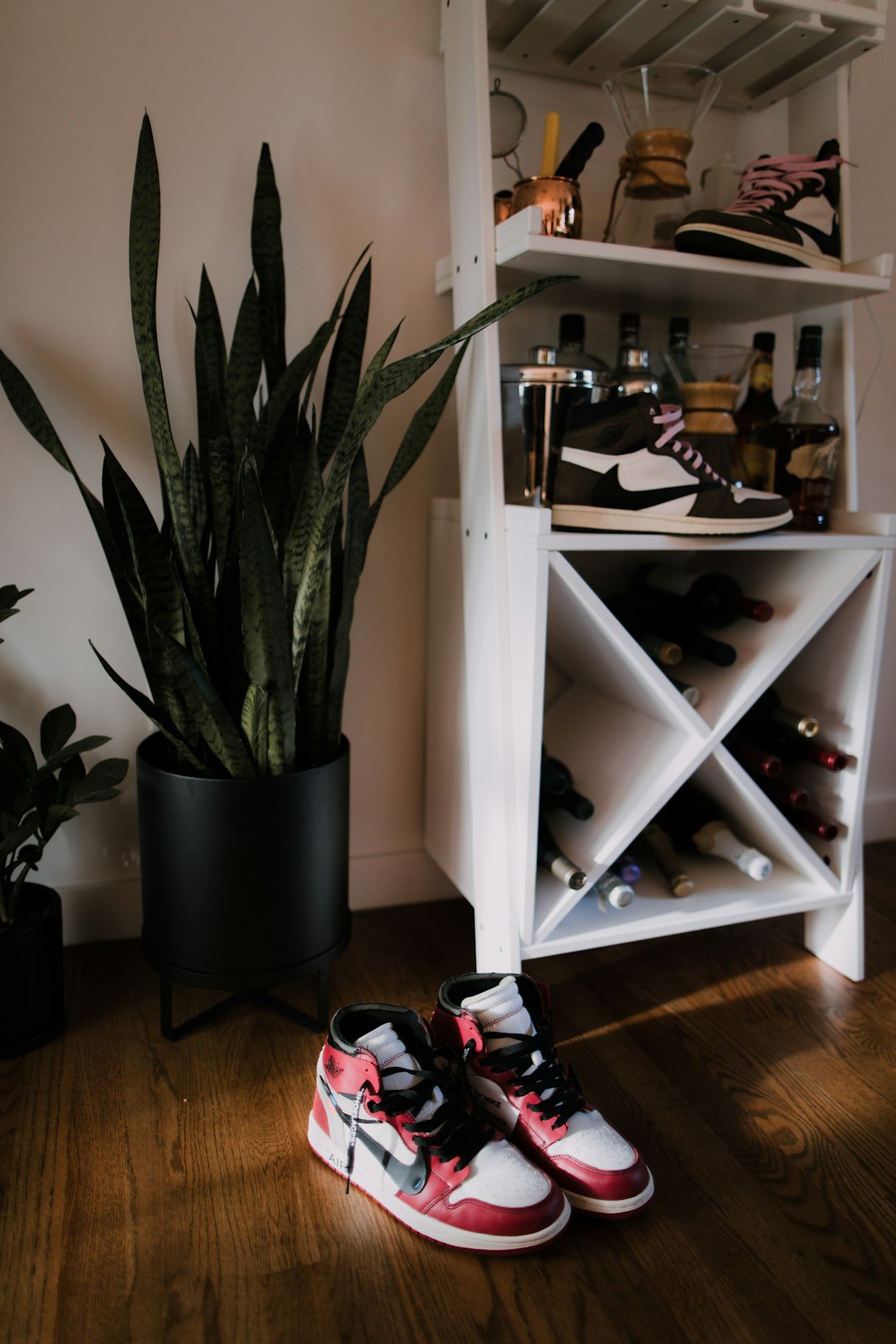 green indoor plant beside white wooden shelf