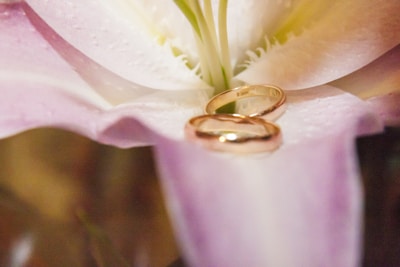 Close-up of beautifully arranged wedding rings resting on soft white petals.