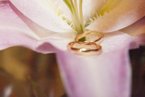 A delicate close-up of intertwined wedding rings resting on deep red floral petals.