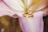 Close-up of intertwined wedding bands resting on a delicate white flower arrangement.
