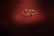Close-up of a gold-plated tungsten ring shining under soft light on a wooden surface.