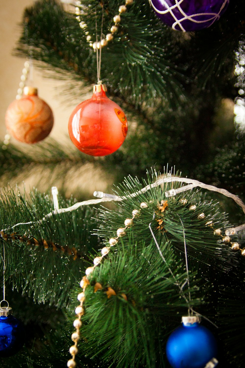 red bauble on green pine tree