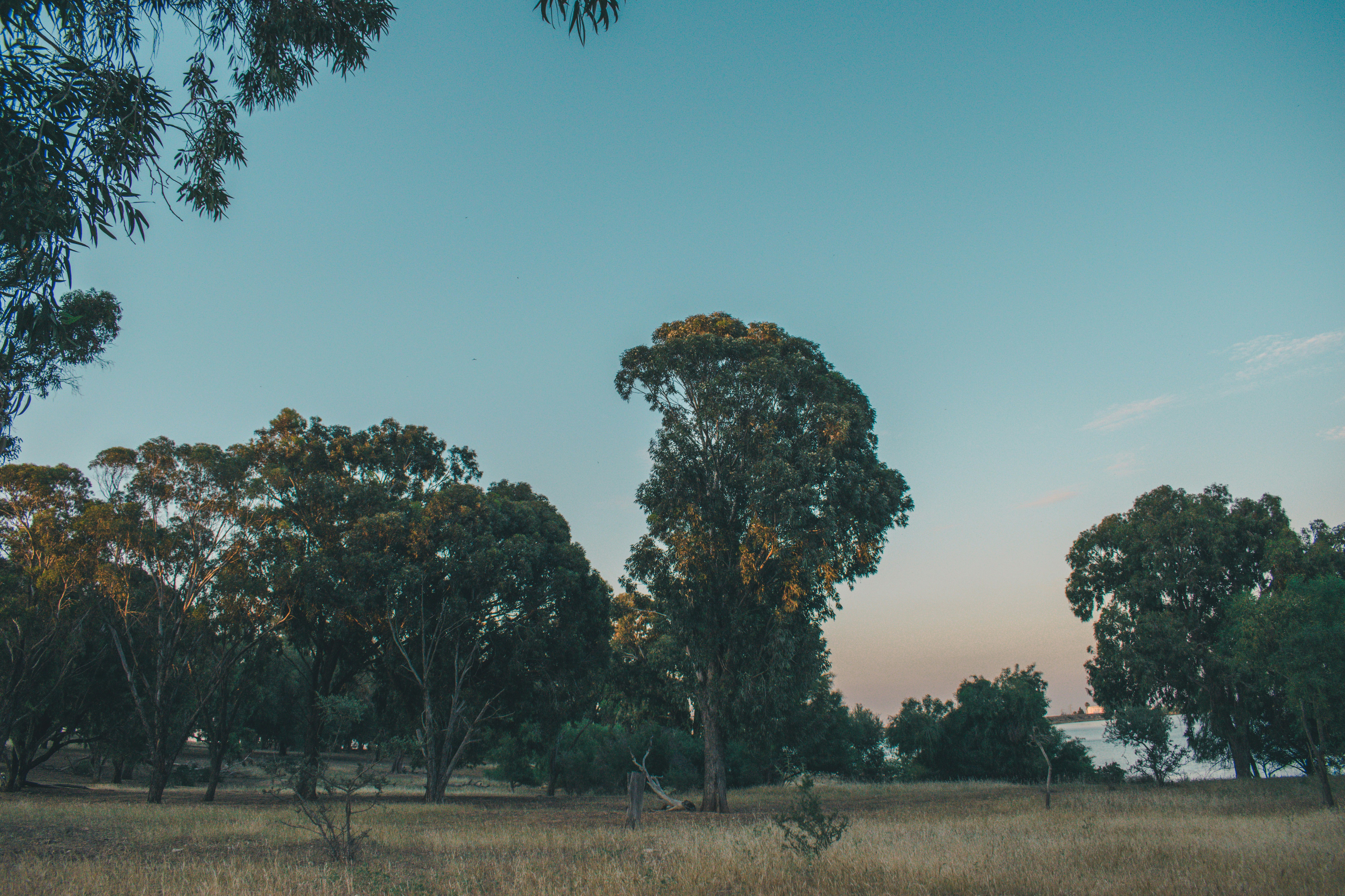 Photo by bilal_ayadi