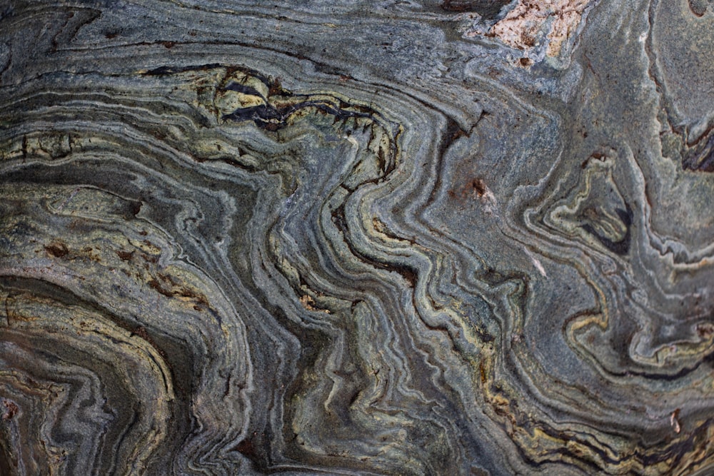 bûche de bois gris et brun