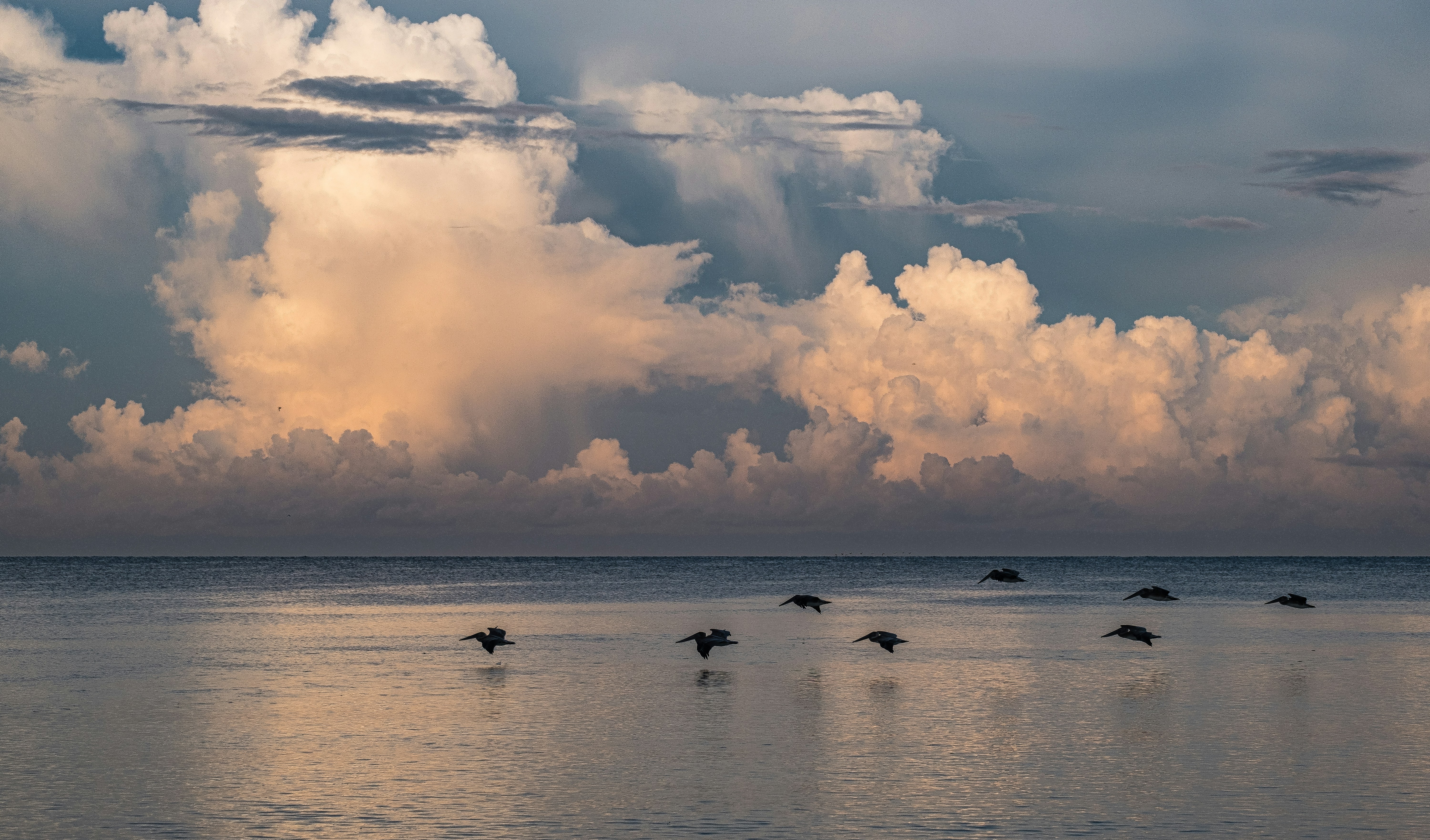 Photo by jcullman
