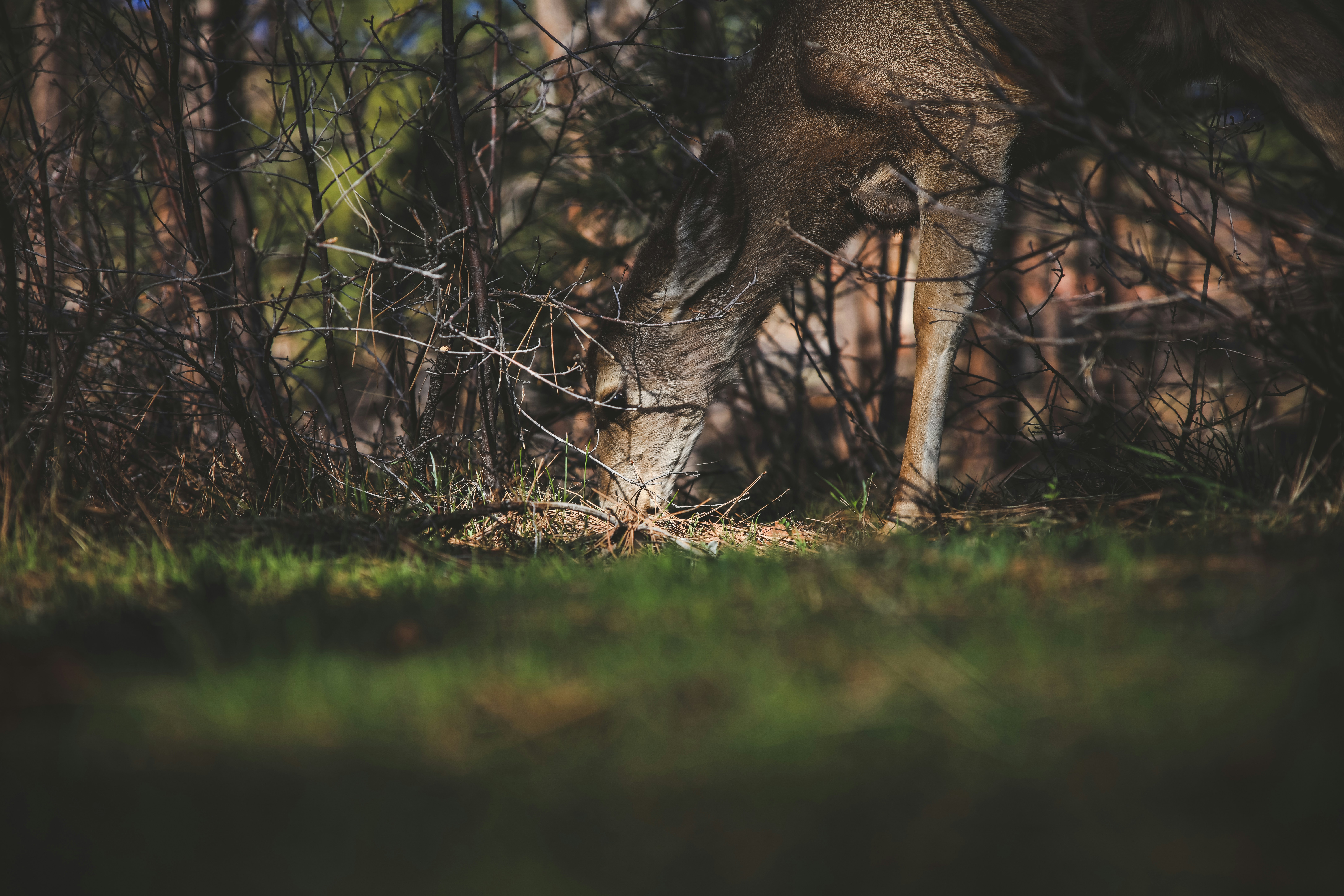 Photo by worldsbetweenlines