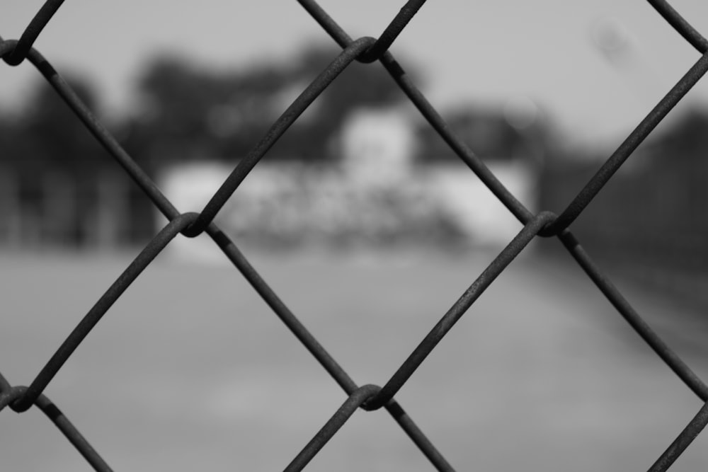 grayscale photo of chain link fence