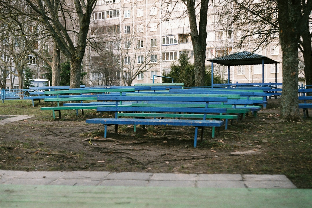 blue wooden bench near bare trees during daytime