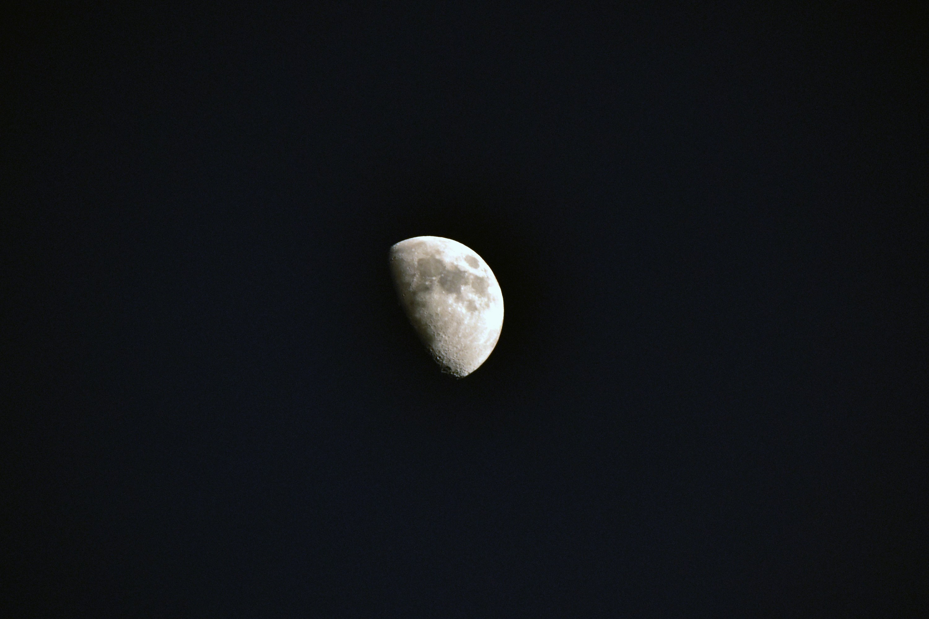 Photo by mehrpouya