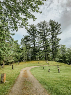 A serene cemetery scene with several QR code plaques on headstones, under a cloudy gray sky