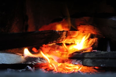 burning wood on fire during night time suriname google meet background