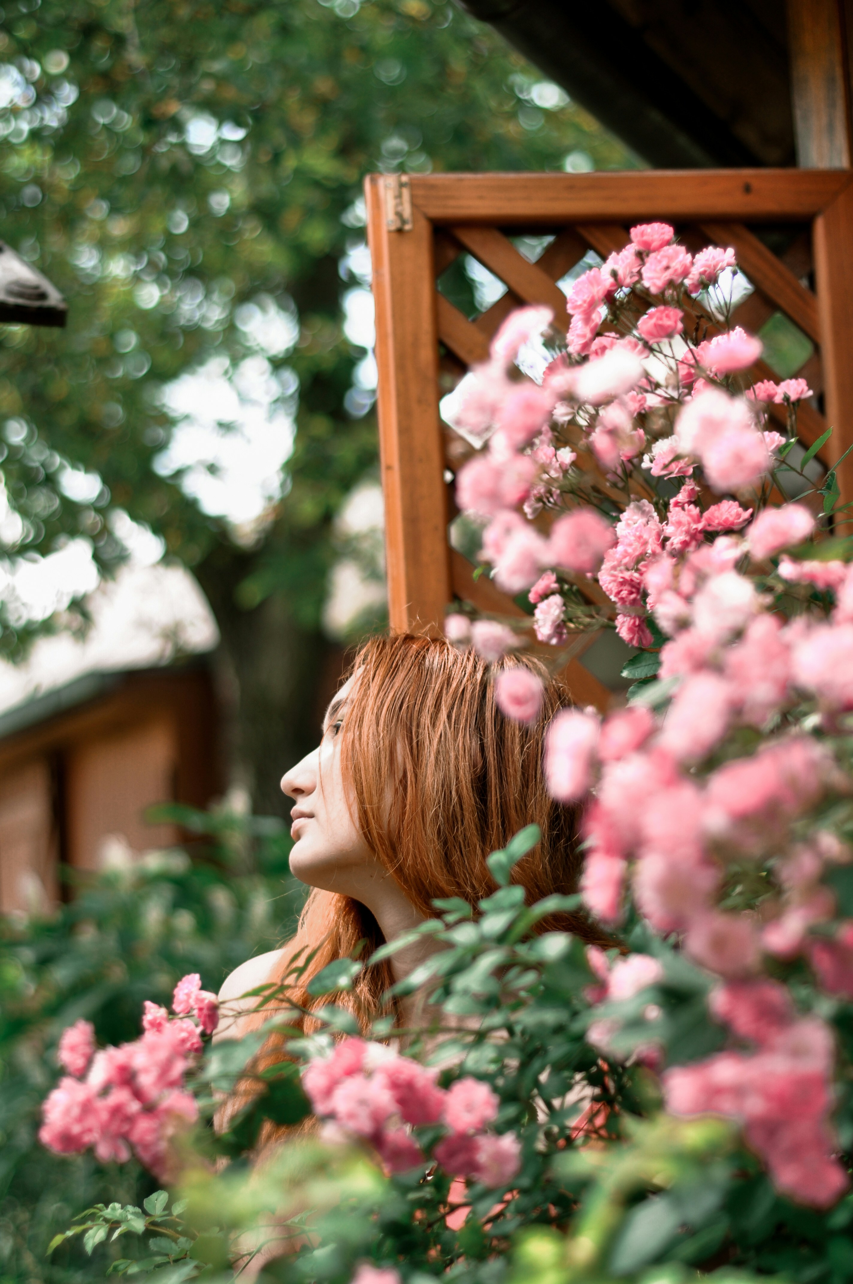 Photo by gingermias