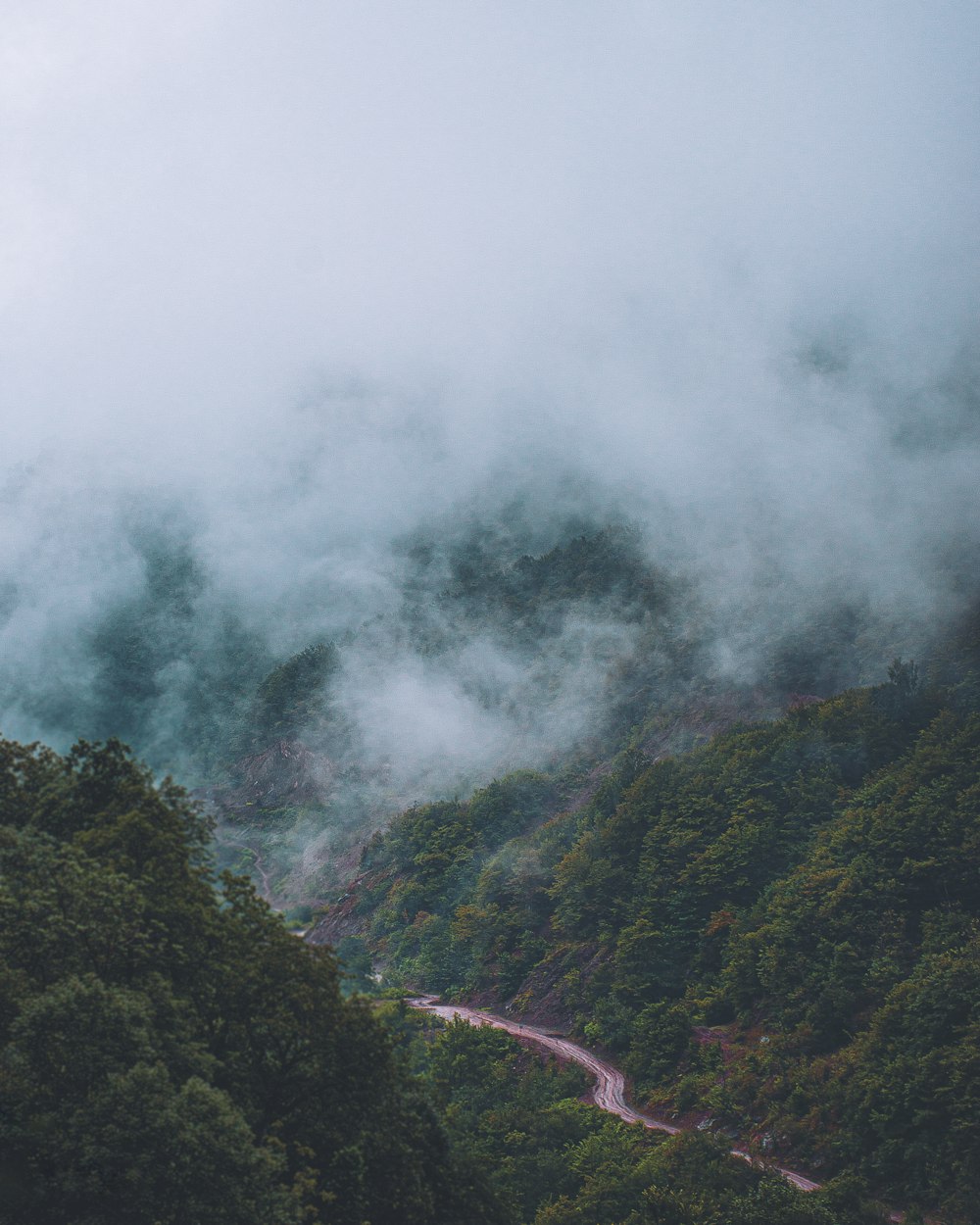 green trees on mountain during daytime