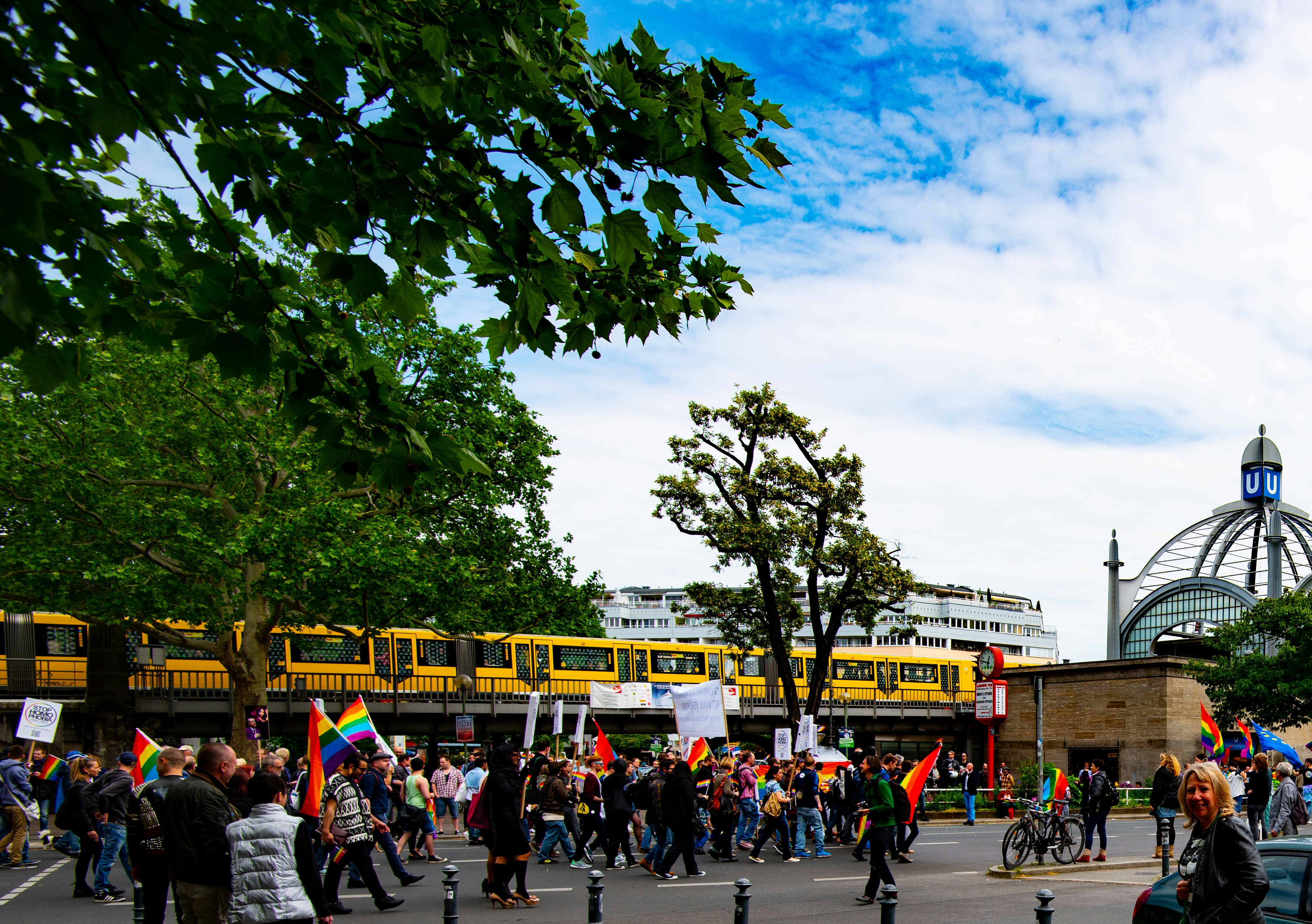 People walking on street near green trees during daytime photo – Free ...