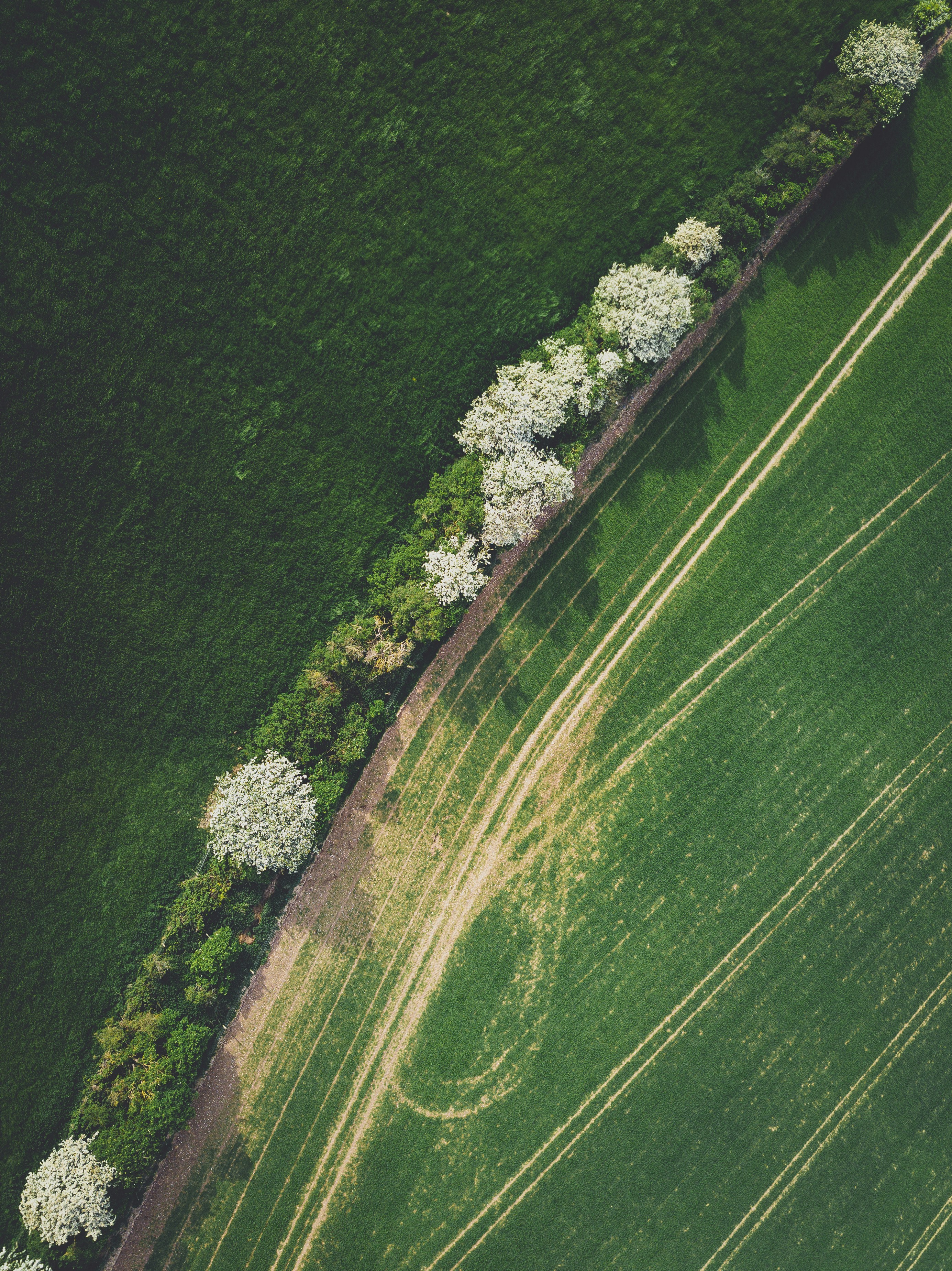 aerial view of green grass field