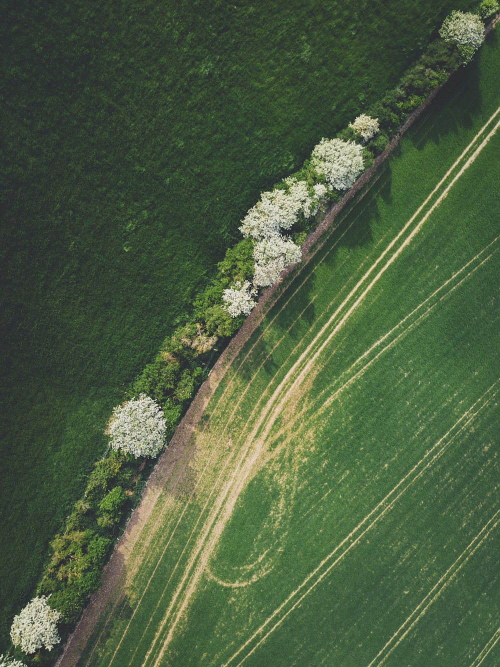 aerial view of green grass field