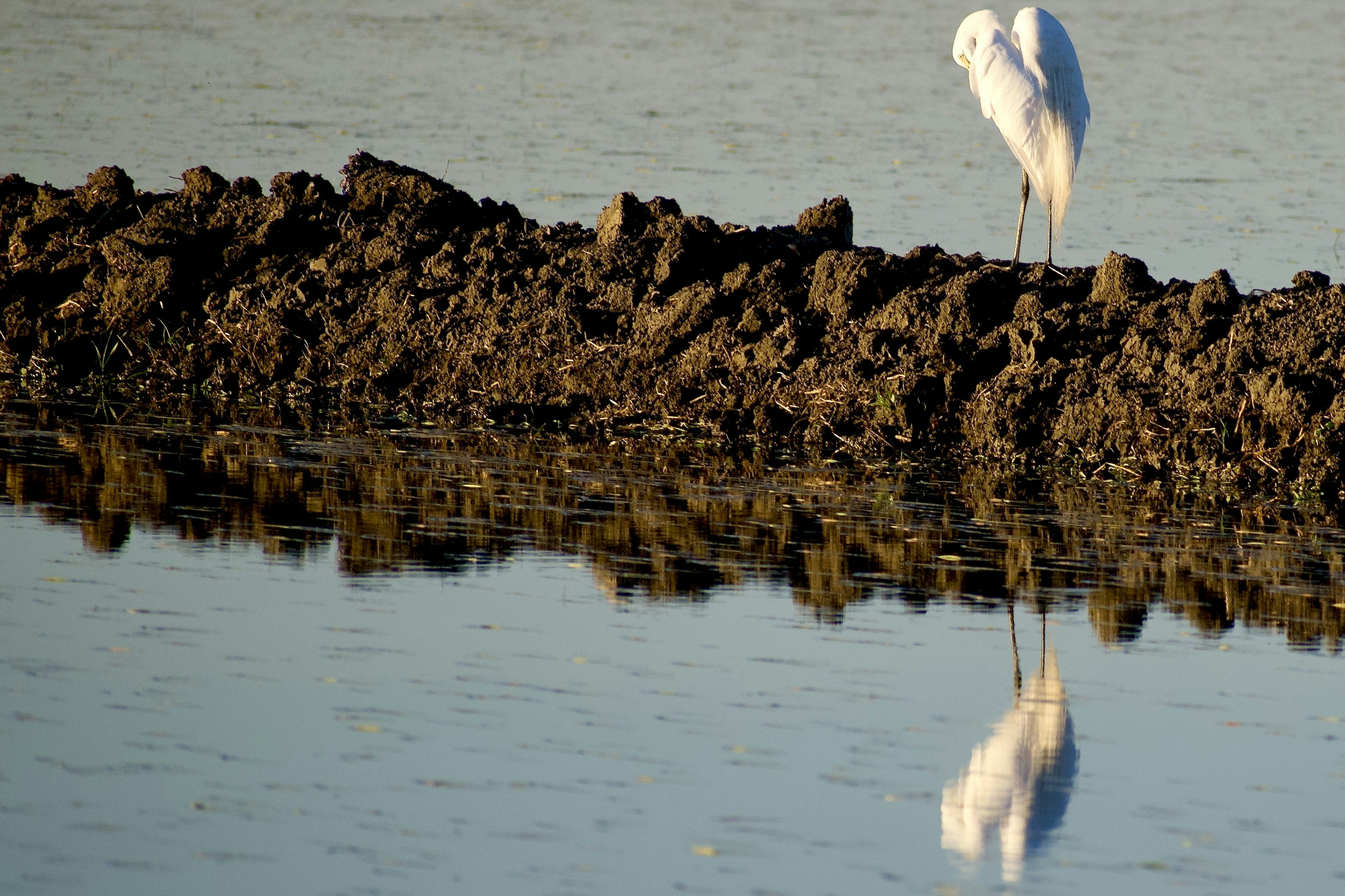 Photo by elisastonephotography