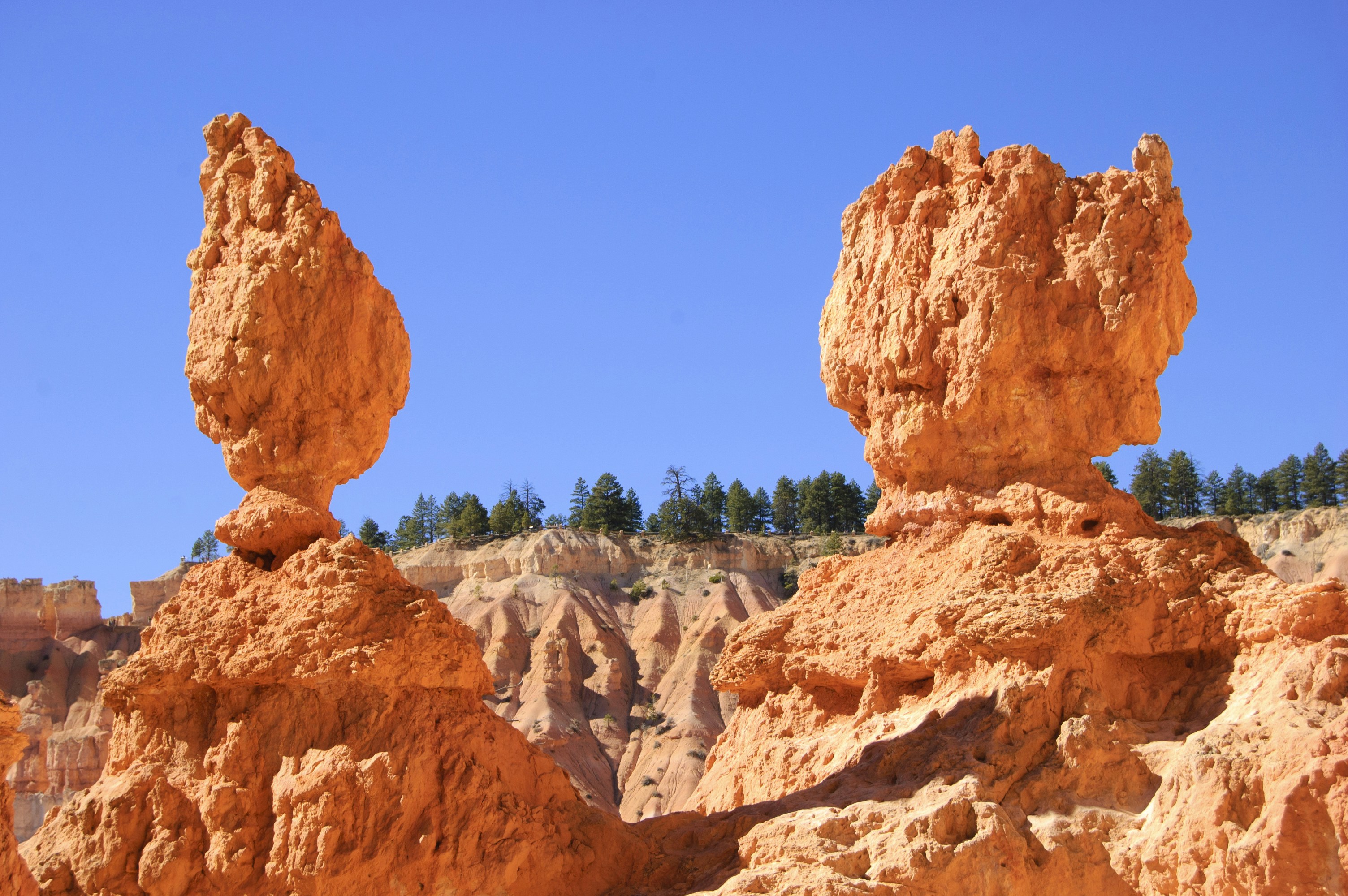 The Alien-Like Hoodoos of Bryce Canyon, USA (image credits: unsplash)