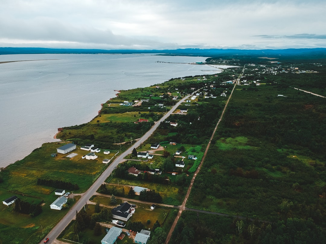 aerial view of green grass field near body of water during daytime