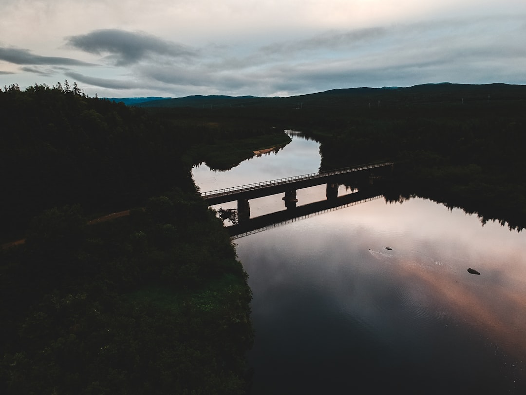 brown wooden bridge over river during daytime