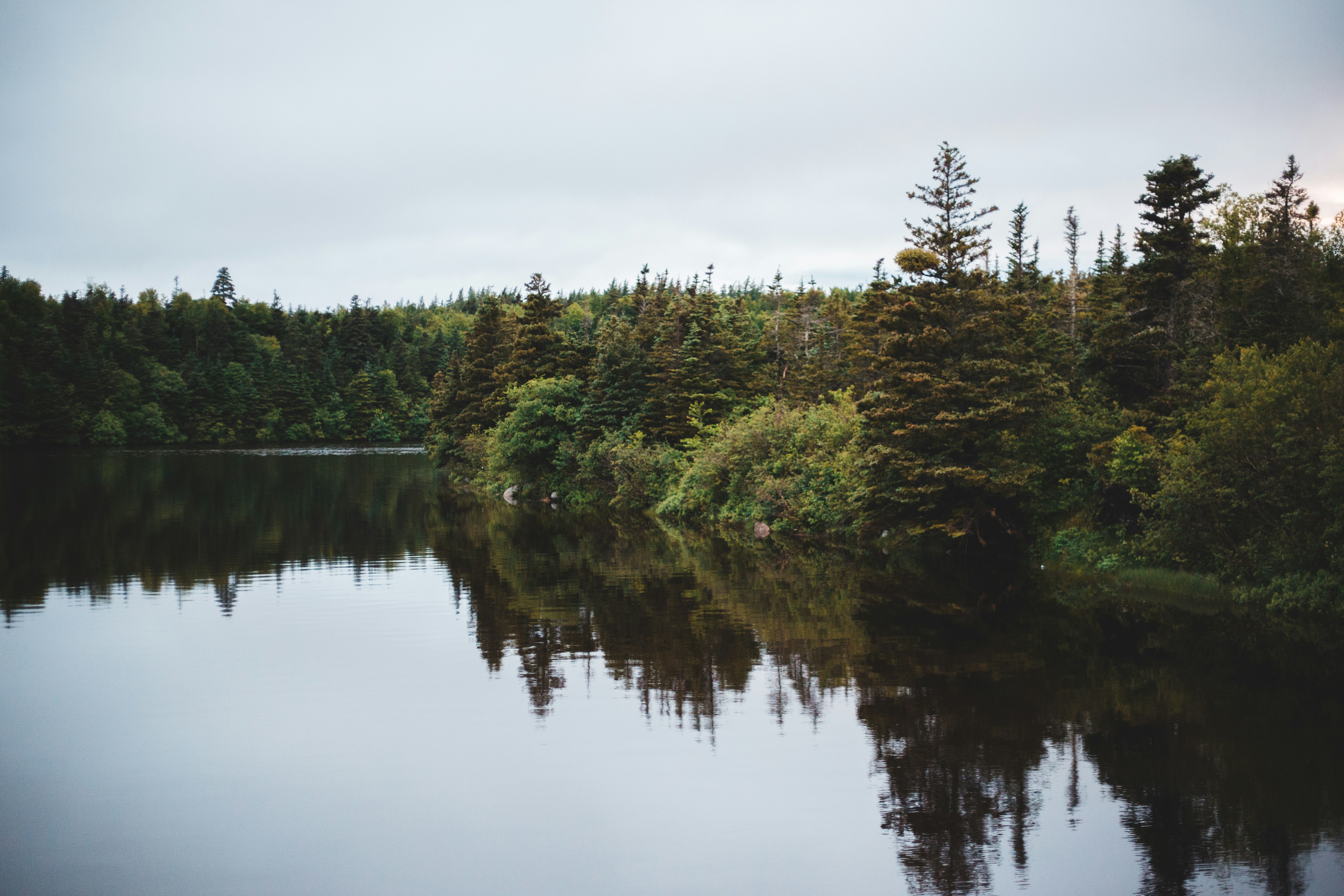 Photo by introspectivedsgn