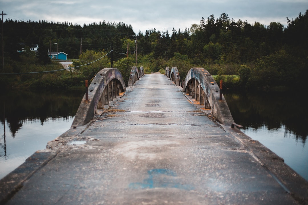 brown wooden bridge over river