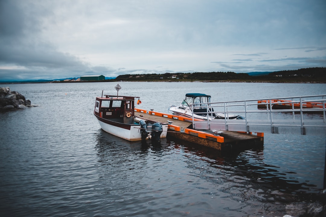 white and brown boat on sea under gray sky